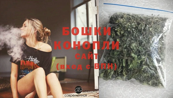 ПСИЛОЦИБИНОВЫЕ ГРИБЫ Бородино