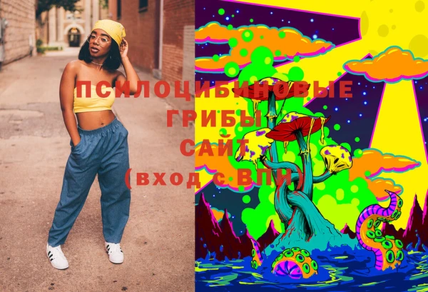 ПСИЛОЦИБИНОВЫЕ ГРИБЫ Бородино