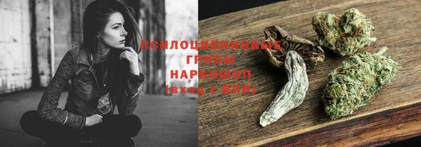 ПСИЛОЦИБИНОВЫЕ ГРИБЫ Бородино